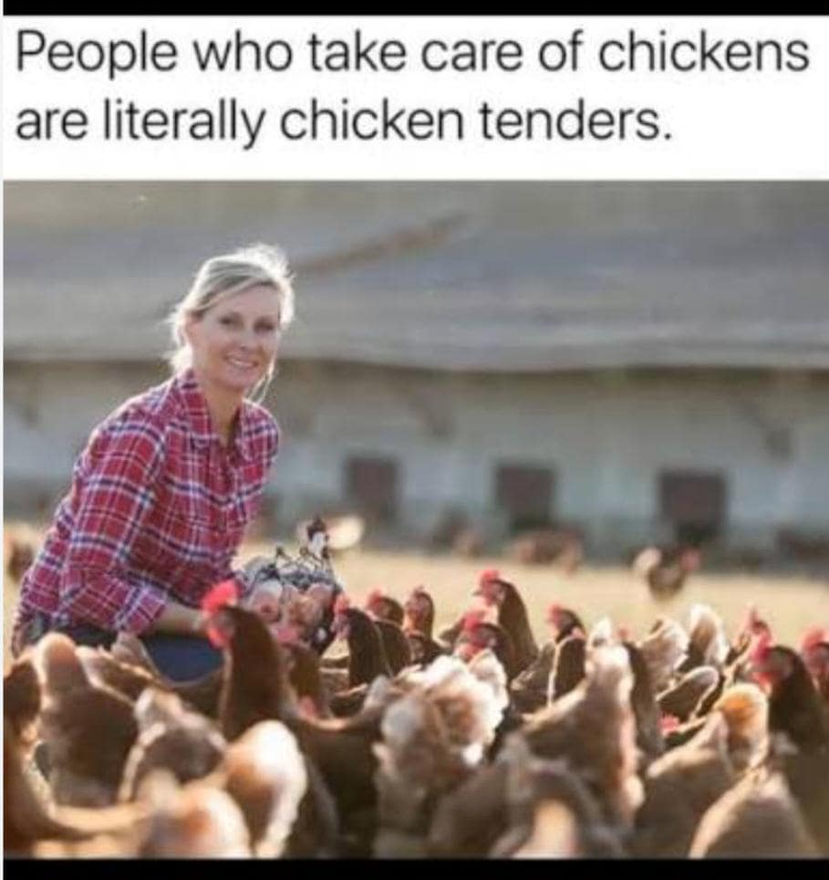 Chicken humor magnet
