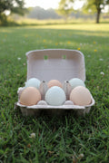Farm Fresh Eggs, barnyard mix, fertile