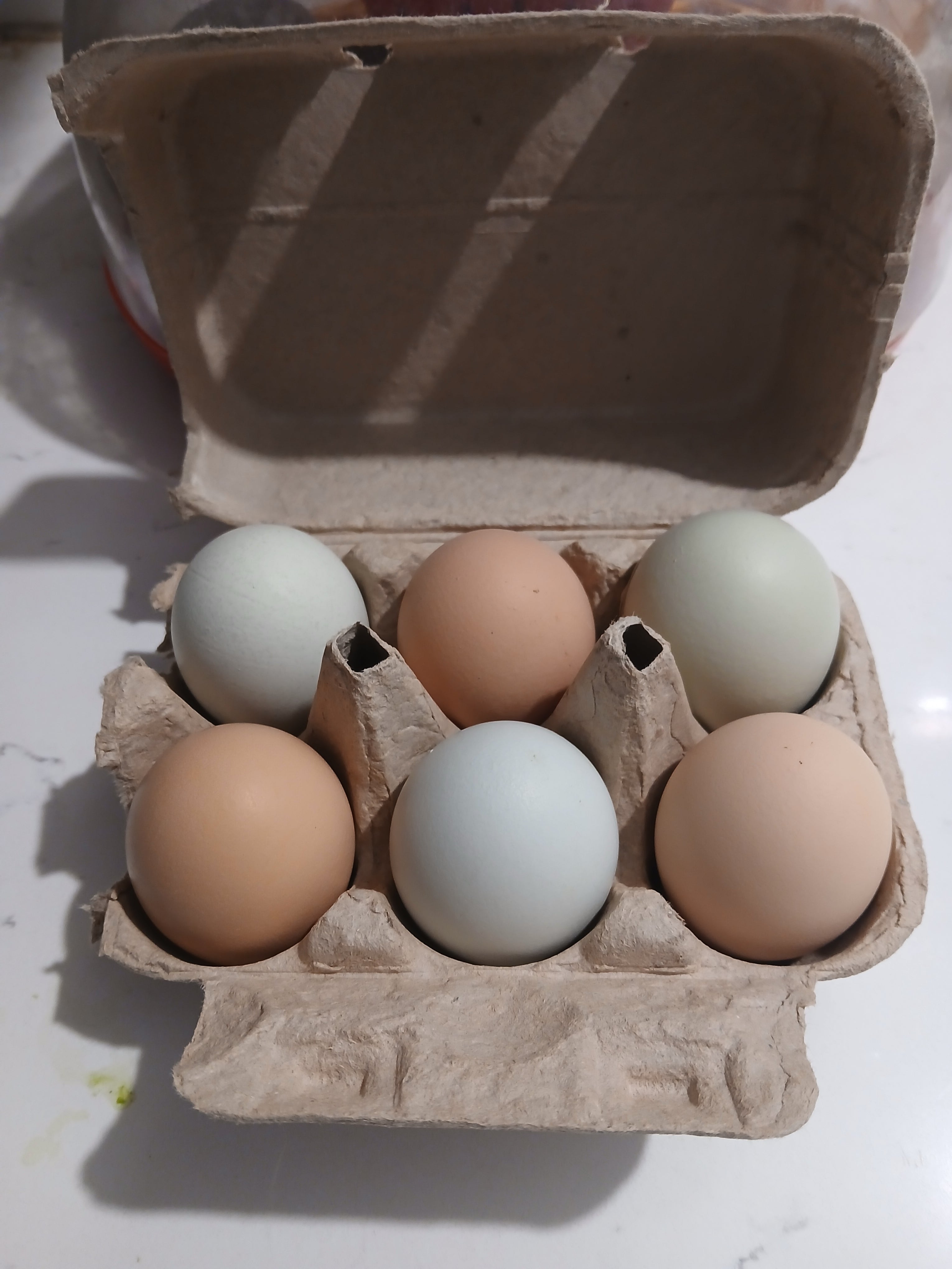 Farm Fresh Eggs, 6ct