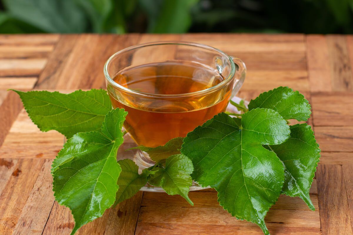 Organic Mulberry Leaf tea with Hibiscus and Chamomile, 6ct