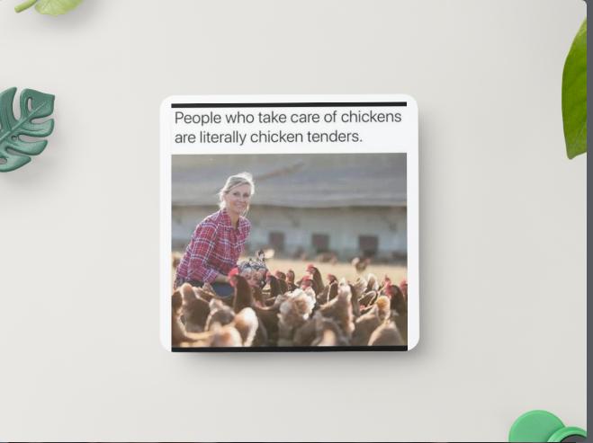 Chicken humor magnet